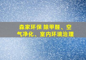 森家环保 除甲醛、空气净化、室内环境治理